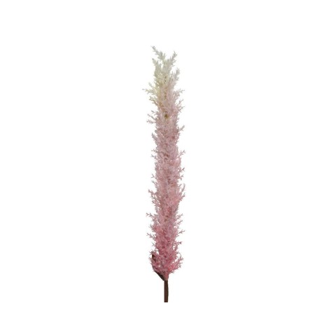 PAMPAS PINK H110